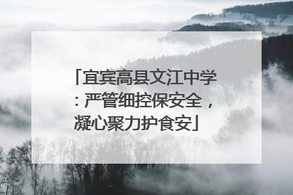 宜宾高县文江中学：严管细控保安全，凝心聚力护食安