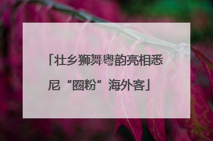 壮乡狮舞粤韵亮相悉尼“圈粉”海外客