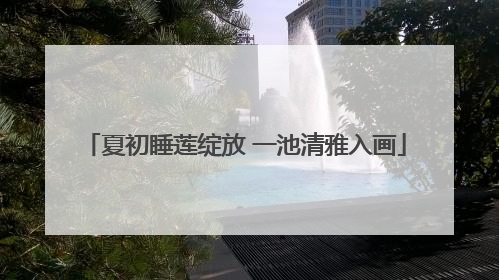 夏初睡莲绽放 一池清雅入画