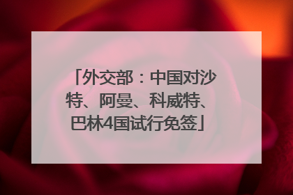 外交部：中国对沙特、阿曼、科威特、巴林4国试行免签