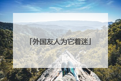外国友人为它着迷