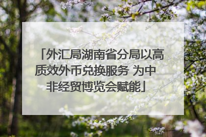 外汇局湖南省分局以高质效外币兑换服务 为中非经贸博览会赋能