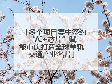 多个项目集中签约 “AI+芯片”赋能重庆打造全球单轨交通产业名片