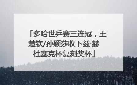多哈世乒赛三连冠，王楚钦/孙颖莎收下兹·赫杜塞克杯复刻奖杯