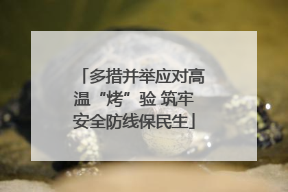 多措并举应对高温“烤”验 筑牢安全防线保民生