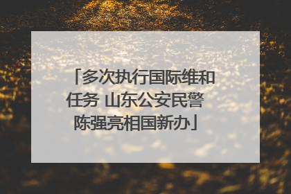 多次执行国际维和任务 山东公安民警陈强亮相国新办