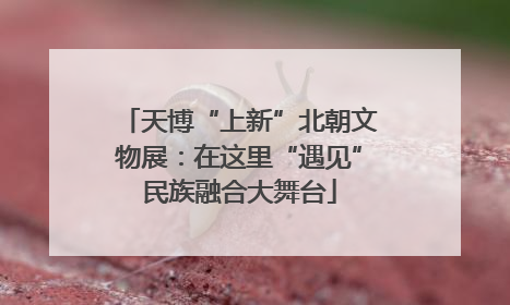 天博“上新”北朝文物展：在这里“遇见”民族融合大舞台