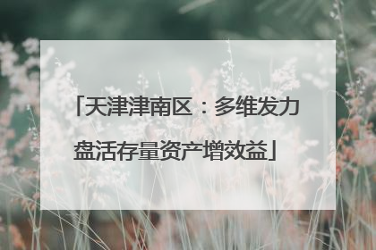 天津津南区：多维发力盘活存量资产增效益