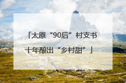 太原“90后”村支书十年酿出“乡村甜”
