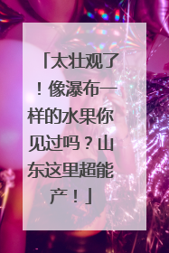 太壮观了！像瀑布一样的水果你见过吗？山东这里超能产！