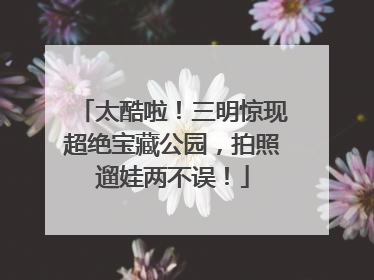 太酷啦！三明惊现超绝宝藏公园，拍照遛娃两不误！