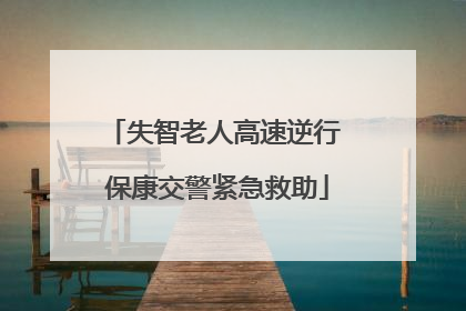 失智老人高速逆行 保康交警紧急救助