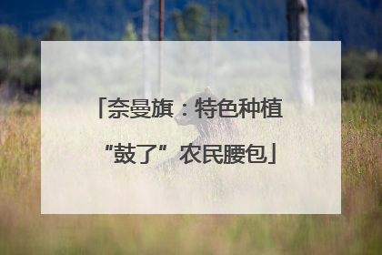 奈曼旗：特色种植“鼓了”农民腰包