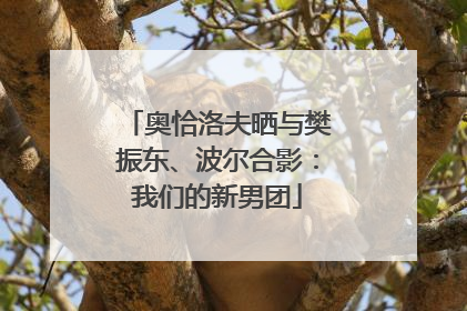 奥恰洛夫晒与樊振东、波尔合影：我们的新男团