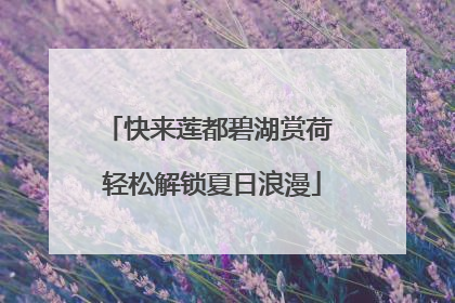 快来莲都碧湖赏荷 轻松解锁夏日浪漫