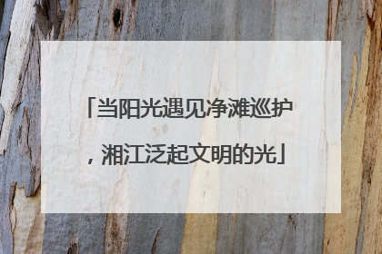 当阳光遇见净滩巡护，湘江泛起文明的光