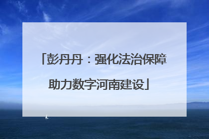 彭丹丹：强化法治保障 助力数字河南建设