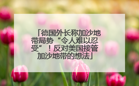 德国外长称加沙地带局势“令人难以忍受”！反对美国接管加沙地带的想法
