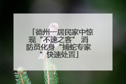 德州一居民家中惊现“不速之客” 消防员化身“捕蛇专家”快速处置