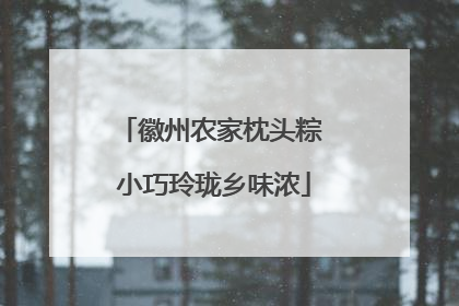 徽州农家枕头粽 小巧玲珑乡味浓