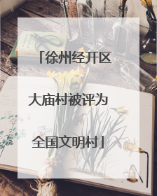 徐州经开区大庙村被评为全国文明村