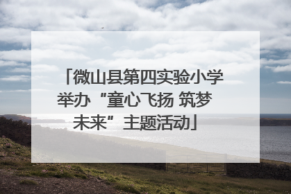 微山县第四实验小学举办“童心飞扬 筑梦未来”主题活动