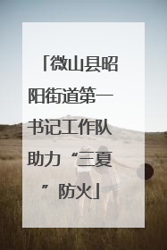 微山县昭阳街道第一书记工作队助力“三夏”防火