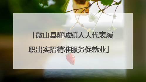 微山县驩城镇人大代表履职出实招精准服务促就业