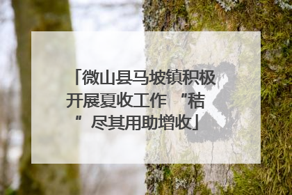 微山县马坡镇积极开展夏收工作 “秸”尽其用助增收