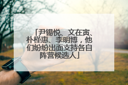 尹锡悦、文在寅、朴槿惠、李明博，他们纷纷出面支持各自阵营候选人