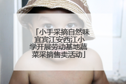 小手采摘自然味 宜宾江安西江小学开展劳动基地蔬菜采摘售卖活动