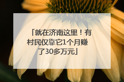 就在济南这里！有村民仅靠它1个月赚了30多万元