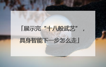 展示完“十八般武艺”，具身智能下一步怎么走
