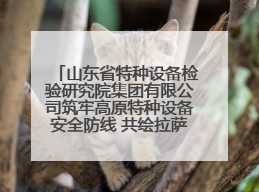 山东省特种设备检验研究院集团有限公司筑牢高原特种设备安全防线 共绘拉萨美好生活画卷