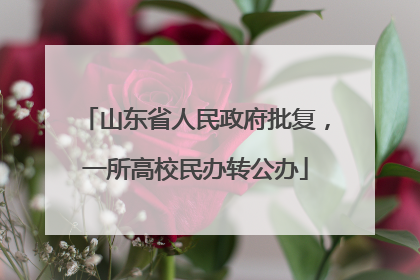 山东省人民政府批复，一所高校民办转公办