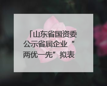 山东省国资委公示省属企业“两优一先”拟表彰对象名单，共250名（个）党员和党组织