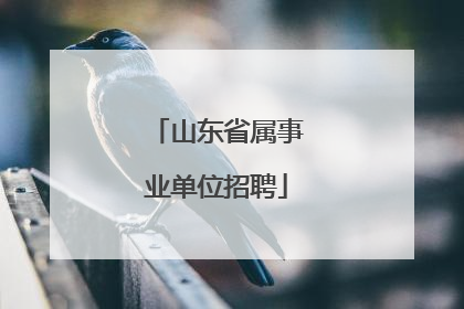 山东省属事业单位招聘