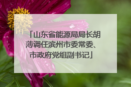 山东省能源局局长胡薄调任滨州市委常委、市政府党组副书记