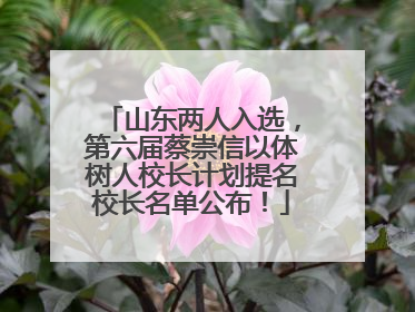 山东两人入选，第六届蔡崇信以体树人校长计划提名校长名单公布！