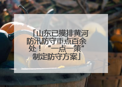 山东已摸排黄河防汛防守重点百余处！“一点一策”制定防守方案