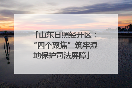 山东日照经开区：“四个聚焦”筑牢湿地保护司法屏障