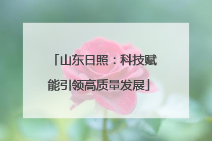 山东日照：科技赋能引领高质量发展