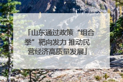 山东通过政策“组合拳”靶向发力 推动民营经济高质量发展