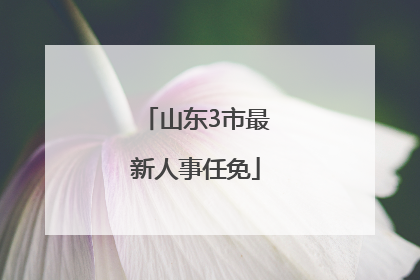 山东3市最新人事任免