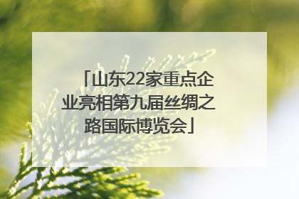 山东22家重点企业亮相第九届丝绸之路国际博览会