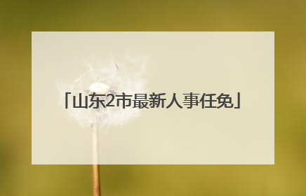 山东2市最新人事任免