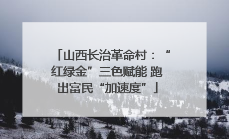 山西长治革命村：“红绿金”三色赋能 跑出富民“加速度”