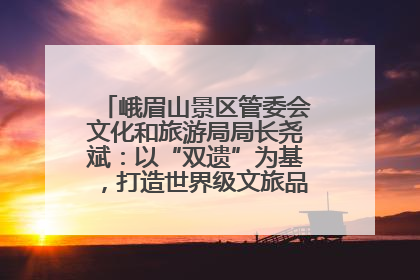 峨眉山景区管委会文化和旅游局局长尧斌：以“双遗”为基，打造世界级文旅品牌与国际典范