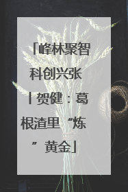 峰林聚智 科创兴张丨贺健：葛根渣里“炼”黄金