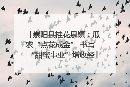 崇阳县桂花泉镇：瓜农“点花成金” 书写“甜蜜事业”增收经